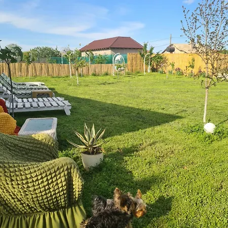 Vadul Chiquita Affittacamere