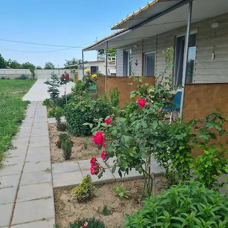 Vadul Chiquita Affittacamere Vadu