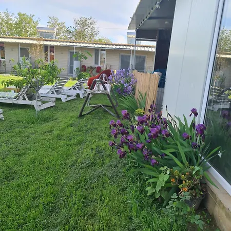 Vadul Chiquita Guest house *