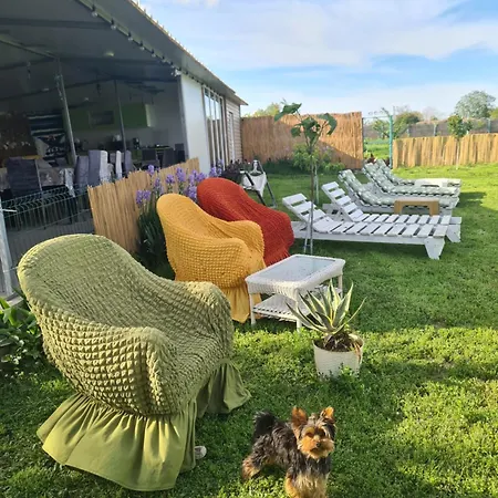 Vadul Chiquita Pensiune 3*