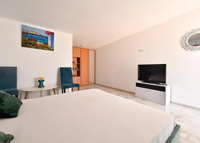 Guest house Vadul Chiquita 3*