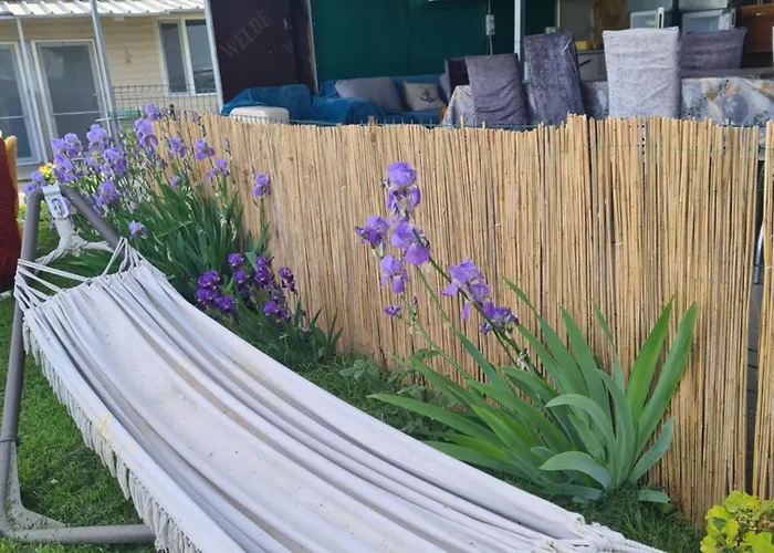 Guest house Vadul Chiquita