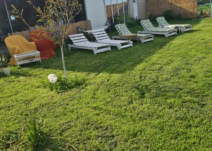 Guest house Vadul Chiquita Vadu