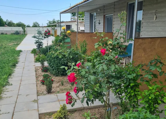 Vadul Chiquita Guest house Vadu